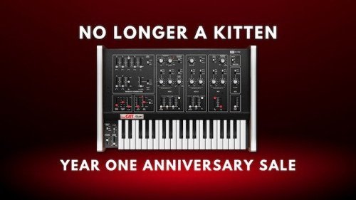 Octave Cat First Anniversary Sale in July
